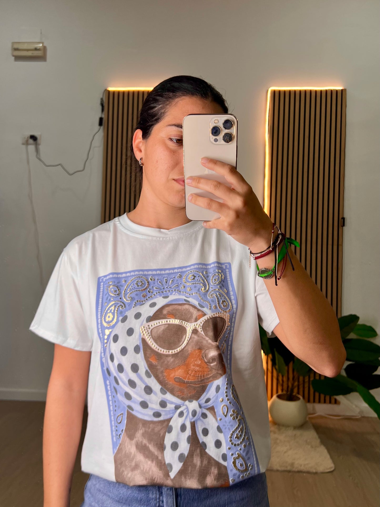 Camiseta perro pañuelo y gafas